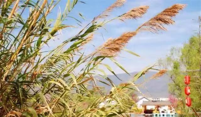 创虹家具,酒店家具,五星级酒店家具,酒店家具定制厂家,酒店家具定制,酒店套房家具